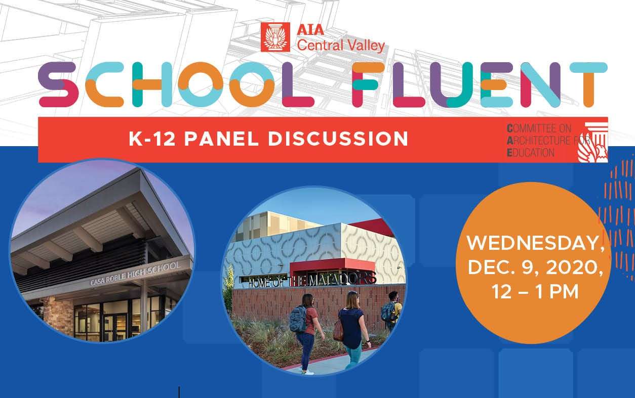 School Fluent: K-12 Panel Discussion (12/09/20)